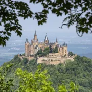  Burg Hohenzollern - Baumfenster (© Roland Beck )